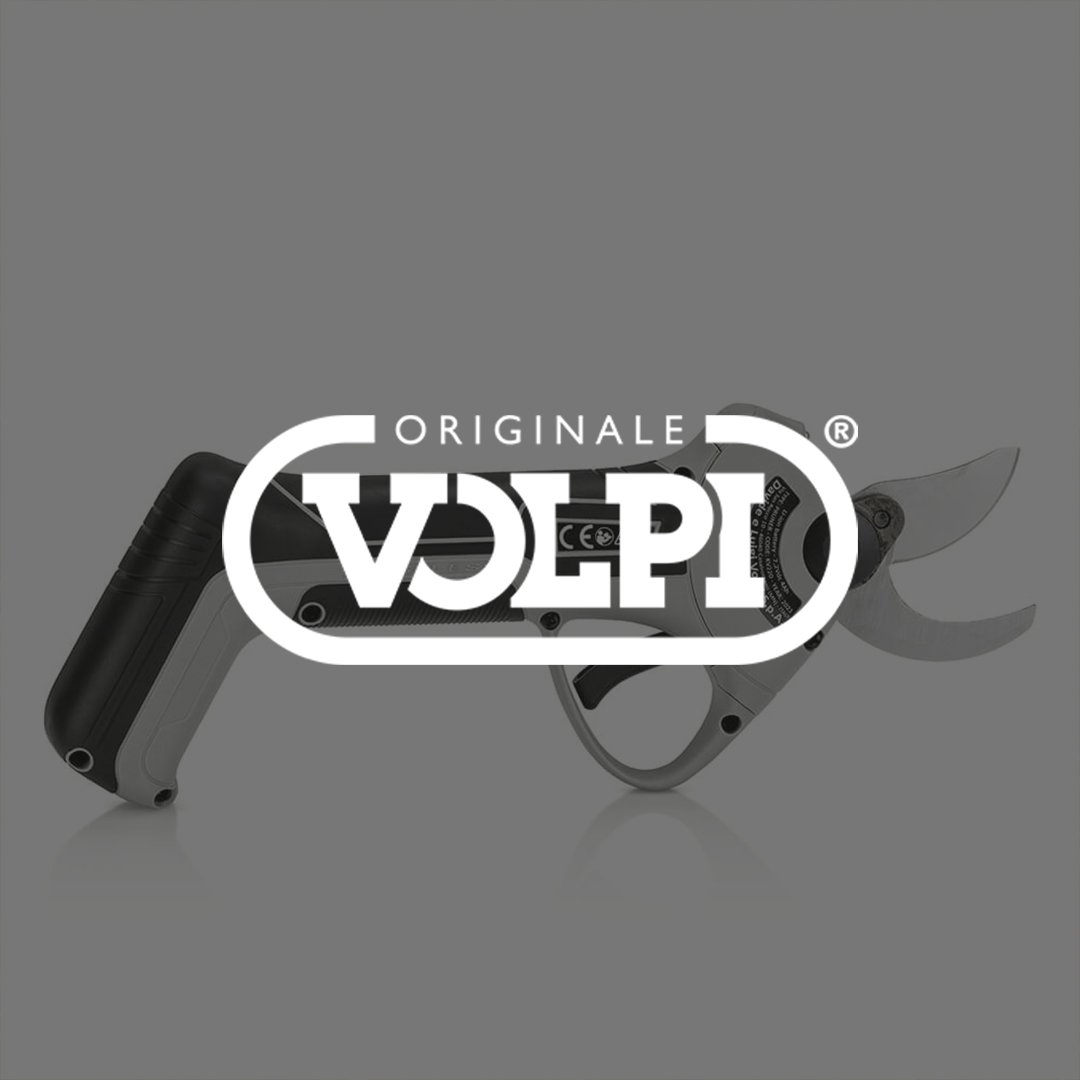 Volpi