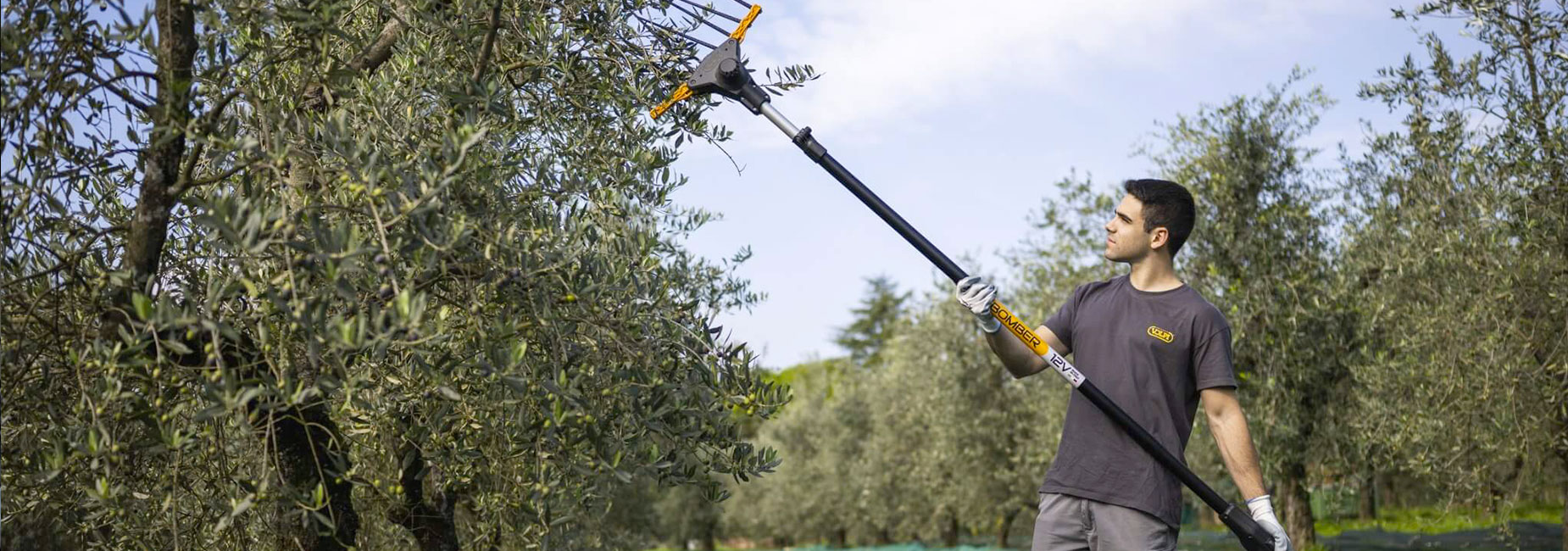 giardinaggio-gori-sansepolcro